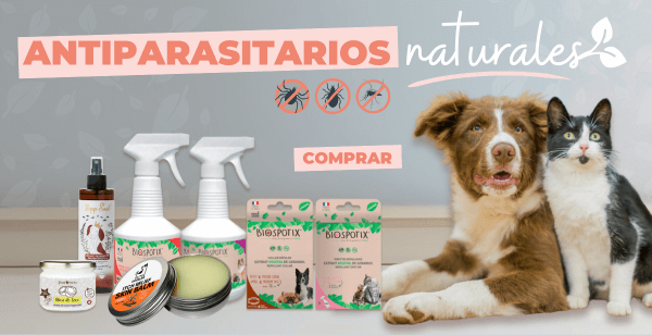 10% de descuento e Bienvenida